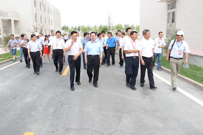 澳门四组三连肖
