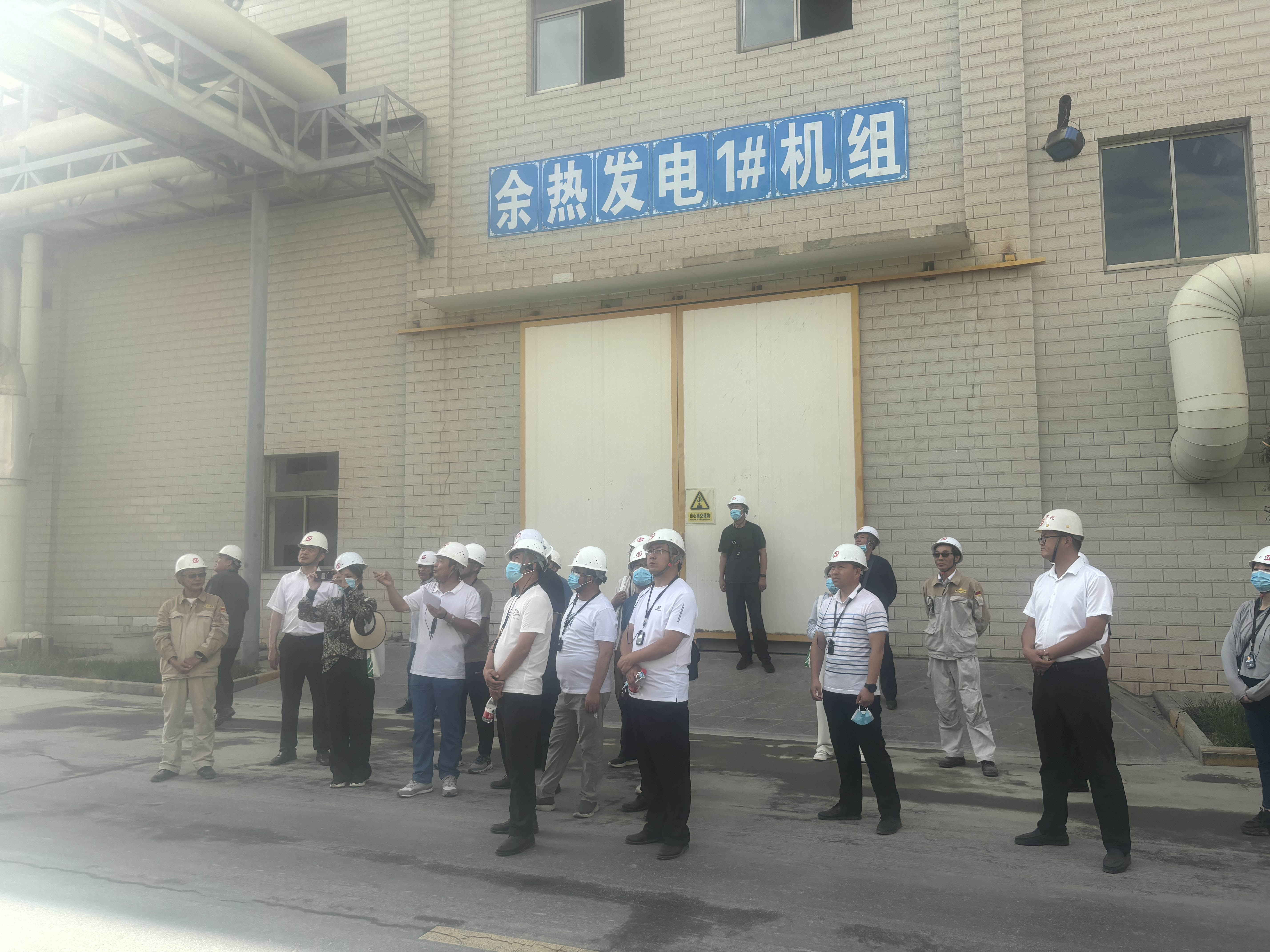 澳门四组三连肖